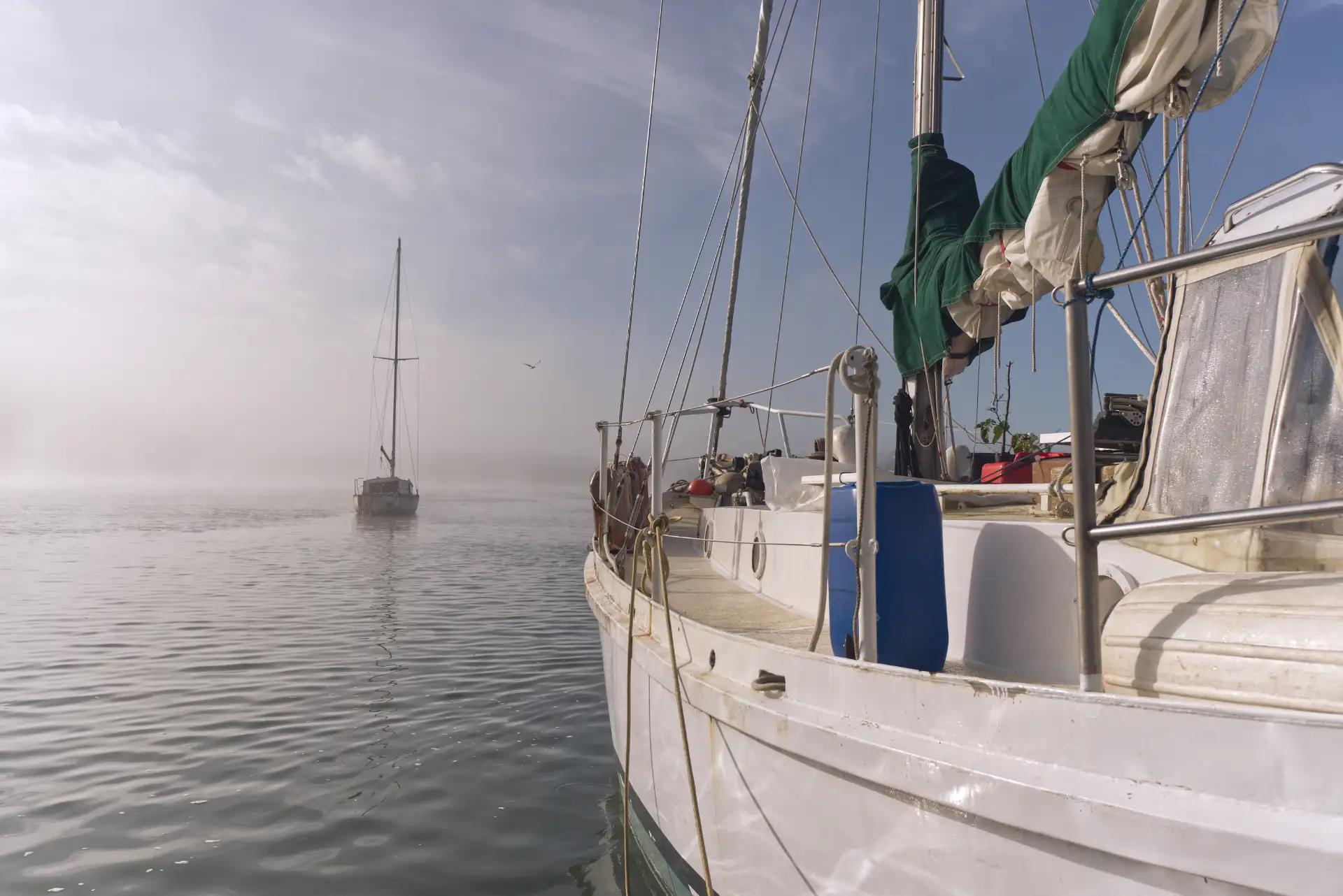 Irie in the fog