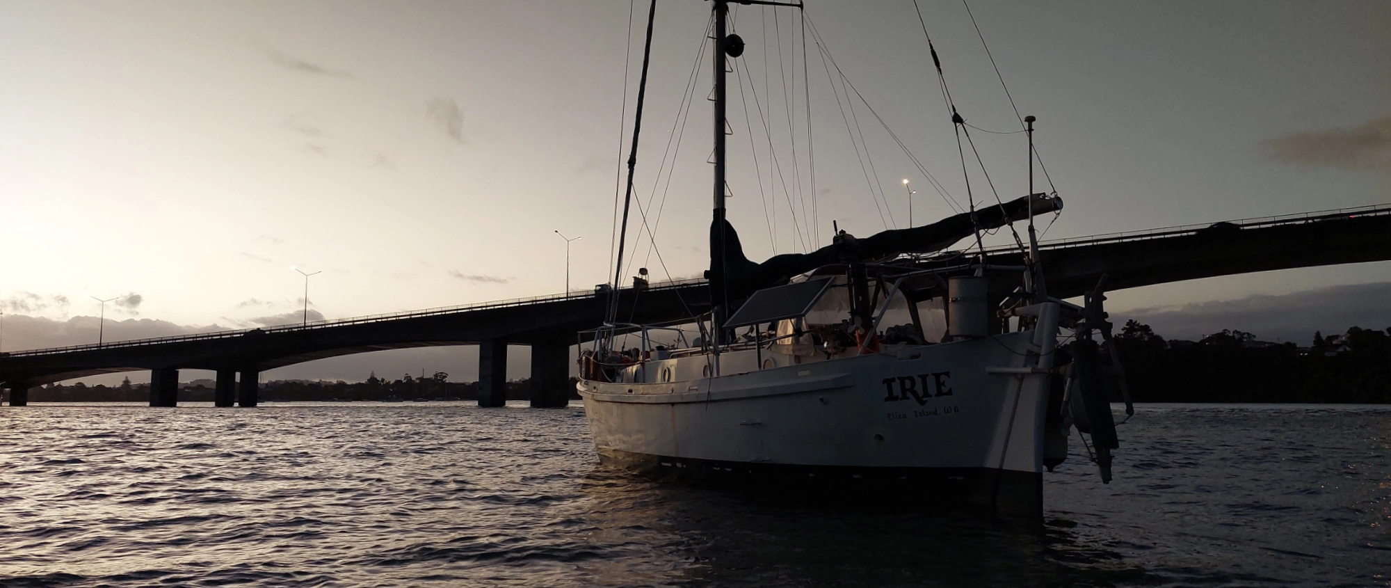 Irie under SH18 Bridge